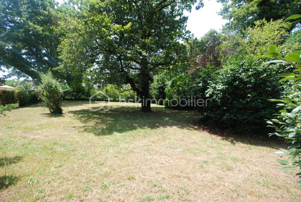 Foret de 800 m²