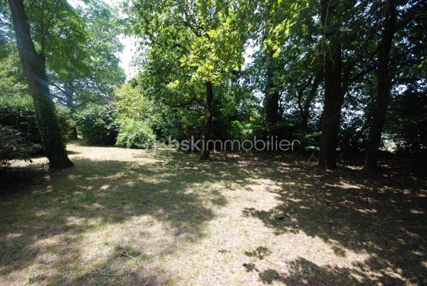 Foret de 800 m²