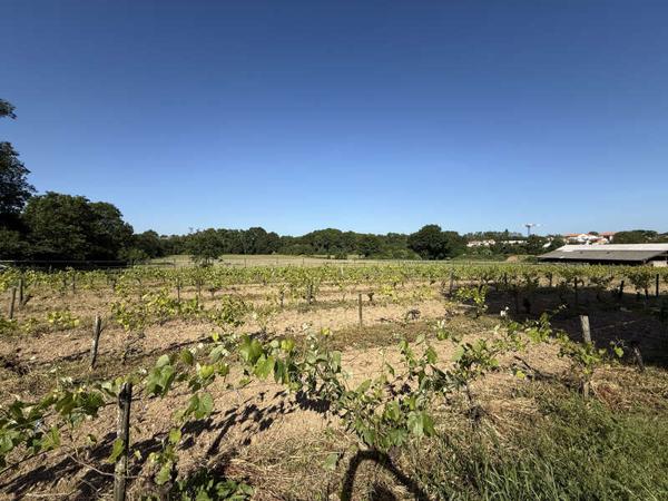 / Vente Terrain 305 m²