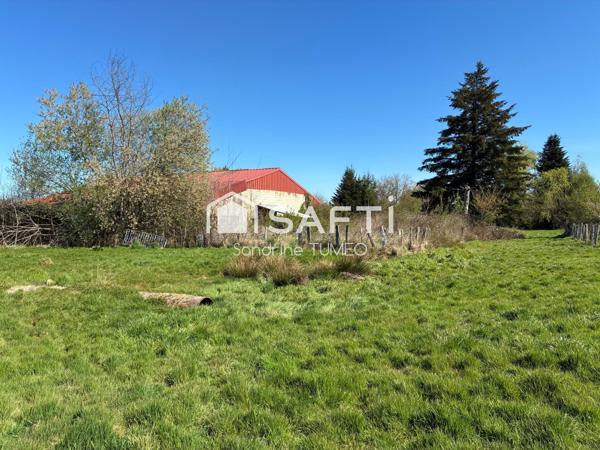 Hangar de 200 m² sur terrain constructible de plus de 4 000 m²