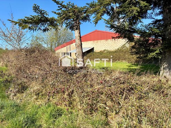Hangar de 200 m² sur terrain constructible de plus de 4 000 m²