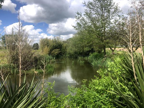 Terrain de loisirs Montaigu Vendee