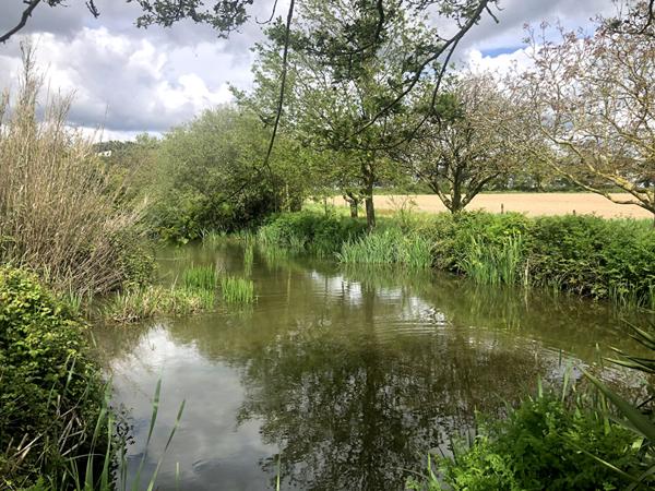 Terrain de loisirs Montaigu Vendee