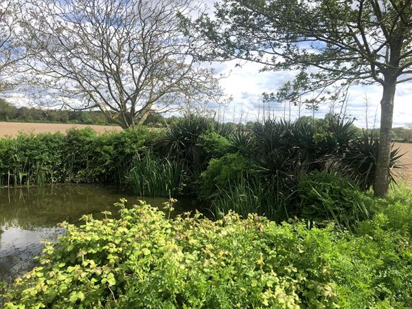 Terrain de loisirs Montaigu Vendee
