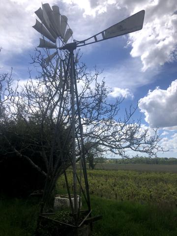 Terrain de loisirs Montaigu Vendee