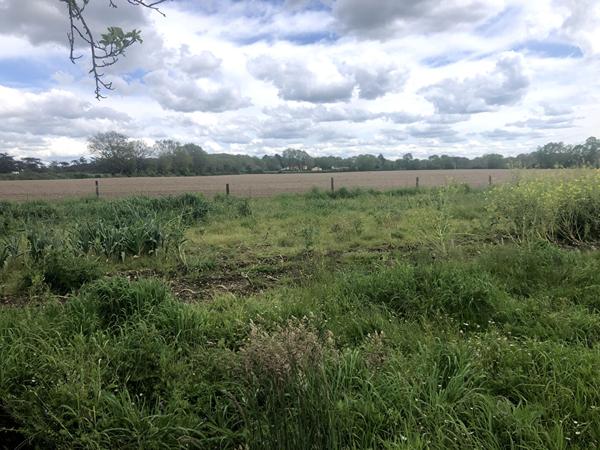 Terrain de loisirs Montaigu Vendee