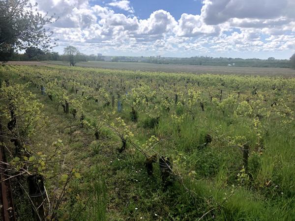 Terrain de loisirs Montaigu Vendee