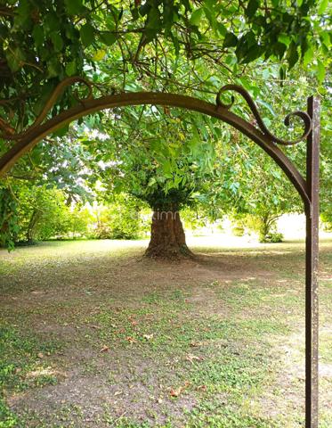 Terrain de 10 907 m²