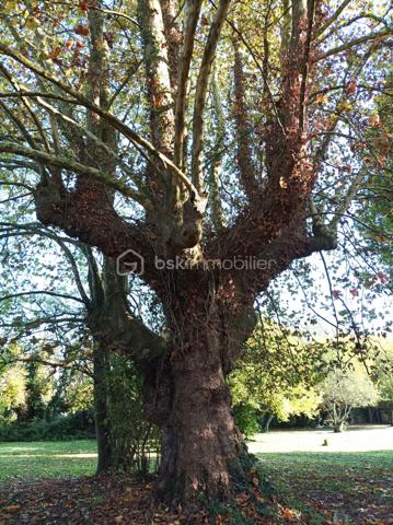 Terrain de 10 907 m²