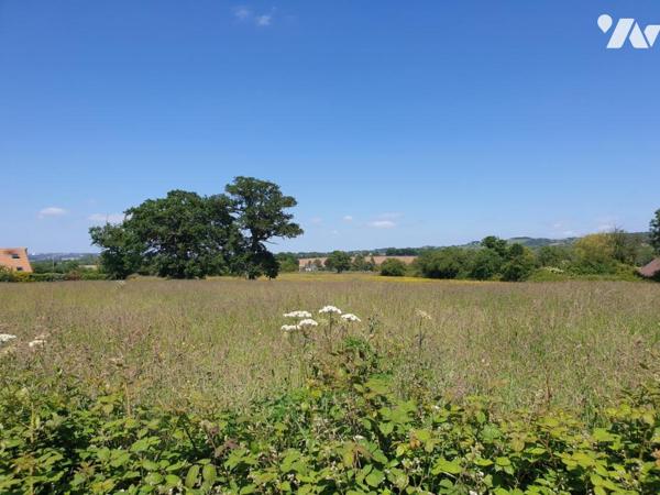 PARCELLE CONSTRUCTIBLE POUR LOTISSEMENT