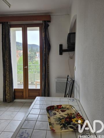 Studio à vendre 19,36 m² Amélie-les-Bains-Palalda