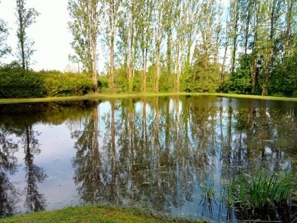 Terrain à vendre |  Gièvres |  20271 m²