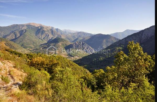 Foret de 100 435 m²