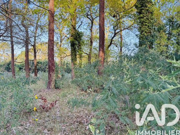 Terrain à vendre 985 m² Soulac-sur-Mer