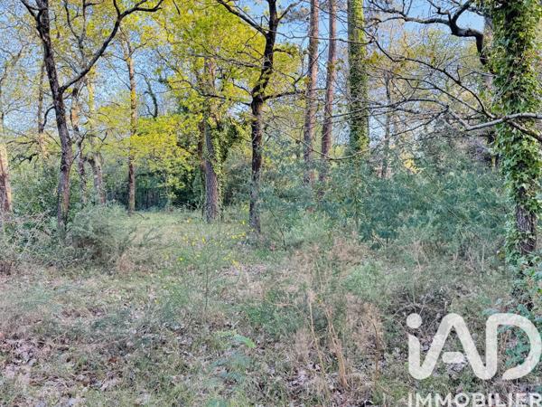 Terrain à vendre 985 m² Soulac-sur-Mer