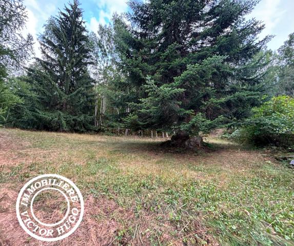 À VENDRE – MAISON D’ARCHITECTE À RÉNOVER AU CŒUR DE LA NATURE – LA DANCHÈRE / VENOSC