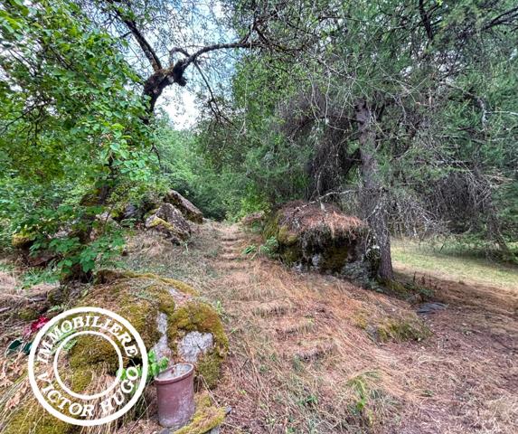 À VENDRE – MAISON D’ARCHITECTE À RÉNOVER AU CŒUR DE LA NATURE – LA DANCHÈRE / VENOSC
