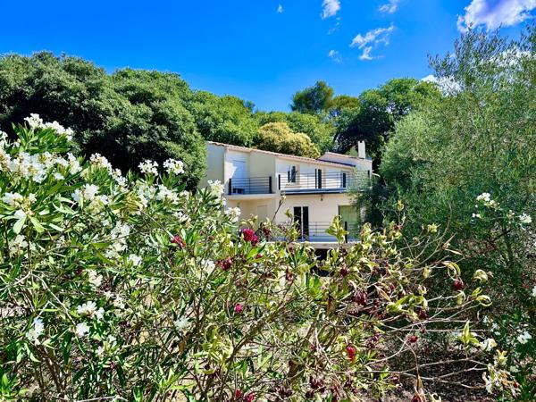 traversante, lumineuse, calme, terrasses jardin