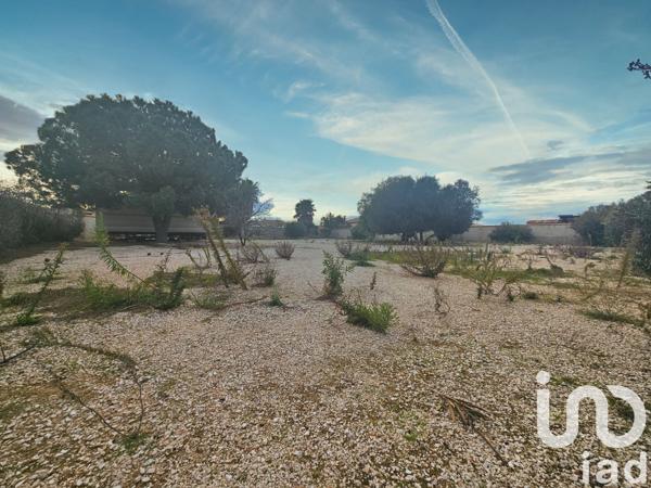 Terrain à vendre 1 484 m² Pia