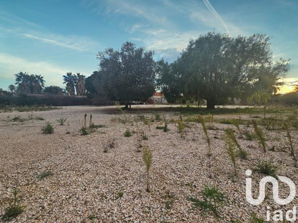 Terrain à vendre 1 484 m² Pia