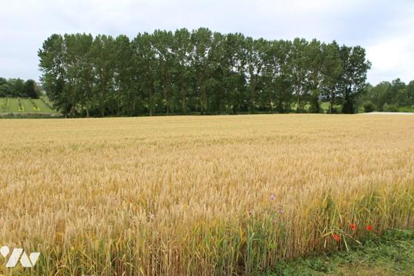 Aux portes d'un petit village, terrains à bâtir