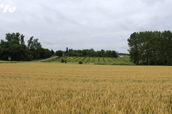 Aux portes d'un petit village, terrains à bâtir