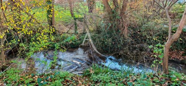Magnifique maison avec un grand jardin clos, piscine, pool house et double garage