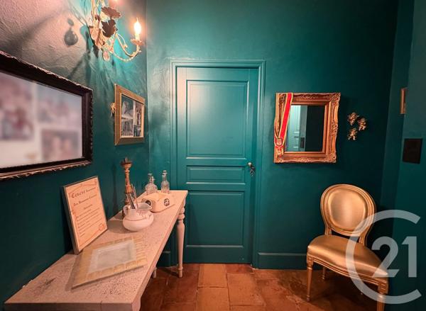 Maison à vendre  14 pièces - 304 m2 LISLE SUR TARN - 81