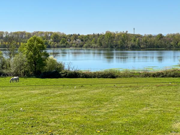 Versailleux (01330) Propriété à vendre pour famille avec enfants à Versailleux