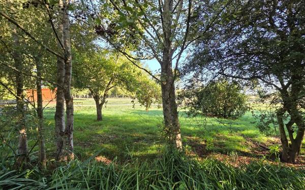 Maison à vendre    4 pièces •  Vrigny