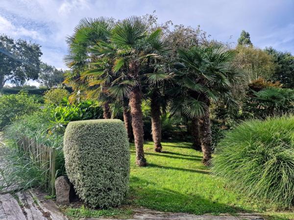 Vente Maison de luxe Penvénan 14 Pièces 428 m²