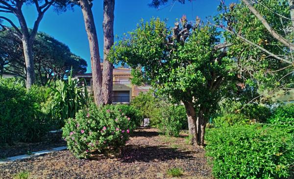 Roquebrune-sur-Argens (83380) Superbe studio rénové à 2 pas du port des plages et centre des Issambres