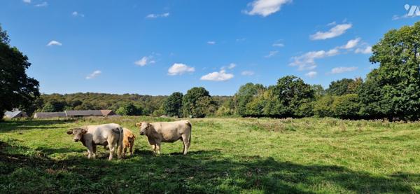 TERRAIN CONSTRUCTIBLE 4 MAISONS