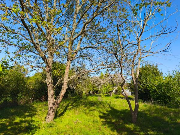 Maison 7 pièces LA BAULE, proche centre et gare sur terrain 1.785 m²