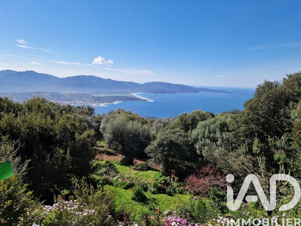 Maison à vendre 6 pièces 153,09 m² Olmeto