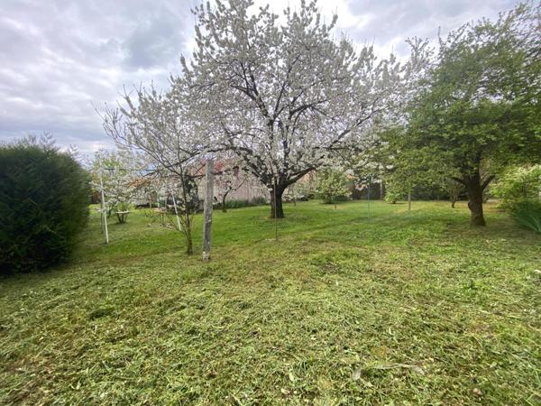 Maison de plain-pied - 4 chambres - terrain arboré - Vouillé (86190) à 20 min de POITIERS
