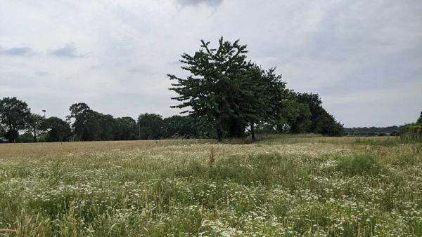 RARE GRAND TERRAIN CONSTRUCITLBE LIBRE DE CONSTRUCTEUR VUE DEGAGEE SUR LA NATURE ENVIRONNANTE