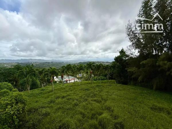 None