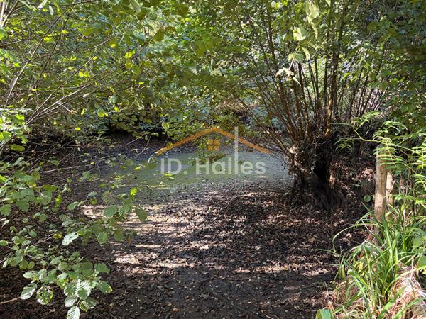 Maison 4 pièces à vendre à Rannée - Réf. 3333LC , Rannee