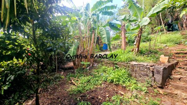 Terrain à FORT DE FRANCE (97200)