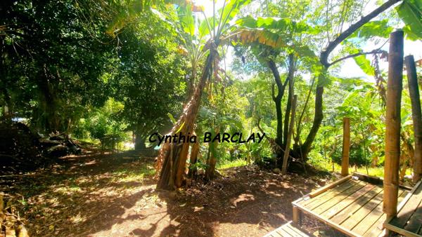 Terrain à FORT DE FRANCE (97200)