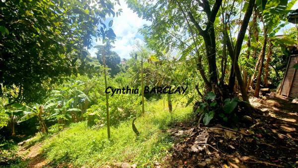 Terrain à FORT DE FRANCE (97200)