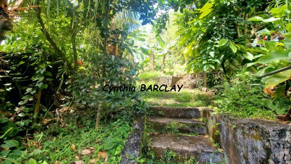 Terrain à FORT DE FRANCE (97200)