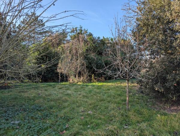 Vente / Maison en pierre