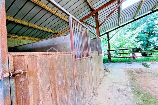 🐴 Avis aux amoureux de nature, de charme et d'équitation ! 🌿
Découvrez cette propriété rare qui allie à la perfection l'authenticité de l'histoire et le confort moderne, sur un superbe domaine de plus d' 1 hectare 🌳.

🎥 Vidéo / Visite virtuelle disponible sur demande ! 📲

📍 Une situation idéale :
En campagne, au calme absolu, tout en restant à seulement 12 min de Janzé, 13 min de La Guerche-de-Bretagne 🚗 et à 37 minutes de RENNES-MAIRIE / HYPER CENTRE ! Un accès rapide à tous les commerces, écoles et services.

🏡 UN INTÉRIEUR CHALEUREUX, SPACIEUX & DE PLAIN-PIED
Entièrement rénovée, la maison vous offre de beaux volumes et une circulation très fluide :
🍳 Cuisine XL aménagée & équipée, véritable cœur de la maison.
🔥 Séjour de caractère avec une majestueuse cheminée d'époque, des poutres apparentes et de magnifiques colombages.
🛋️ Salon indépendant pour vos moments de détente.
💻 Bureau dédié au télétravail (avec fibre optique déjà installée 🚀).
🛏️ Espace nuit : 4 chambres confortables, 1 salle de bain, 1 salle d'eau, 1 buanderie/lingerie fonctionnelle.
🚗 Garage attenant.

🌳 UN EXTÉRIEUR DÉDIÉ À LA DÉTENTE ET VOS PASSIONS
☀️ Parc arboré de 3 800 m² entourant la maison avec une belle terrasse exposée plein SUD.
🏡 Studio indépendant d'environ 20 m² avec mezzanine et terrasse couverte (parfait pour recevoir la famille, les amis ou faire de la location 🗝️).
🛠️ Superbe potentiel d'extension : un bâtiment de 100 m² à rénover et un grand hangar !

🐴 INSTALLATIONS ÉQUESTRES DE PREMIER ORDRE
Vous avez des chevaux ou des animaux ? Ce domaine est prêt à vous accueillir !
🐴 Barn de 300 m² équipé de 8 boxes.
🌾 Paddocks en herbe d'environ 1 hectare, entièrement clôturés en lisses de bois avec un accès direct et facilité.
🌱 Possibilité d'acquérir plus de terre !

⭐ LES POINTS FORTS QUI FONT LA DIFFÉRENCE :
🌱 Très faible consommation énergétique : DPE Classe B ! (Pompe à chaleur + isolation de haute qualité) ❄️🔥
📡 Fibre optique pour une connexion haut débit.
🏠 Toiture en ardoises naturelles en parfait état.

Un bien d'exception sur le marché, prêt à vous accueillir avec vos projets et vos animaux ! 🐎✨

📞 Une visite s'impose ! Contactez-nous dès maintenant pour en savoir plus et recevoir la vidéo / visite virtuelle. 📩