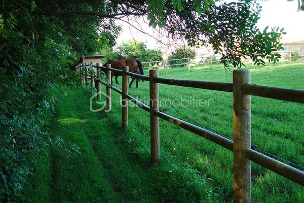 🐴 Avis aux amoureux de nature, de charme et d'équitation ! 🌿
Découvrez cette propriété rare qui allie à la perfection l'authenticité de l'histoire et le confort moderne, sur un superbe domaine de plus d' 1 hectare 🌳.

🎥 Vidéo / Visite virtuelle disponible sur demande ! 📲

📍 Une situation idéale :
En campagne, au calme absolu, tout en restant à seulement 12 min de Janzé, 13 min de La Guerche-de-Bretagne 🚗 et à 37 minutes de RENNES-MAIRIE / HYPER CENTRE ! Un accès rapide à tous les commerces, écoles et services.

🏡 UN INTÉRIEUR CHALEUREUX, SPACIEUX & DE PLAIN-PIED
Entièrement rénovée, la maison vous offre de beaux volumes et une circulation très fluide :
🍳 Cuisine XL aménagée & équipée, véritable cœur de la maison.
🔥 Séjour de caractère avec une majestueuse cheminée d'époque, des poutres apparentes et de magnifiques colombages.
🛋️ Salon indépendant pour vos moments de détente.
💻 Bureau dédié au télétravail (avec fibre optique déjà installée 🚀).
🛏️ Espace nuit : 4 chambres confortables, 1 salle de bain, 1 salle d'eau, 1 buanderie/lingerie fonctionnelle.
🚗 Garage attenant.

🌳 UN EXTÉRIEUR DÉDIÉ À LA DÉTENTE ET VOS PASSIONS
☀️ Parc arboré de 3 800 m² entourant la maison avec une belle terrasse exposée plein SUD.
🏡 Studio indépendant d'environ 20 m² avec mezzanine et terrasse couverte (parfait pour recevoir la famille, les amis ou faire de la location 🗝️).
🛠️ Superbe potentiel d'extension : un bâtiment de 100 m² à rénover et un grand hangar !

🐴 INSTALLATIONS ÉQUESTRES DE PREMIER ORDRE
Vous avez des chevaux ou des animaux ? Ce domaine est prêt à vous accueillir !
🐴 Barn de 300 m² équipé de 8 boxes.
🌾 Paddocks en herbe d'environ 1 hectare, entièrement clôturés en lisses de bois avec un accès direct et facilité.
🌱 Possibilité d'acquérir plus de terre !

⭐ LES POINTS FORTS QUI FONT LA DIFFÉRENCE :
🌱 Très faible consommation énergétique : DPE Classe B ! (Pompe à chaleur + isolation de haute qualité) ❄️🔥
📡 Fibre optique pour une connexion haut débit.
🏠 Toiture en ardoises naturelles en parfait état.

Un bien d'exception sur le marché, prêt à vous accueillir avec vos projets et vos animaux ! 🐎✨

📞 Une visite s'impose ! Contactez-nous dès maintenant pour en savoir plus et recevoir la vidéo / visite virtuelle. 📩