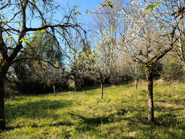 Maison de charme, vue dégagée, piscine au calme