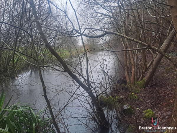 Terrain de loisirs avec deux étangs secteur Ernée