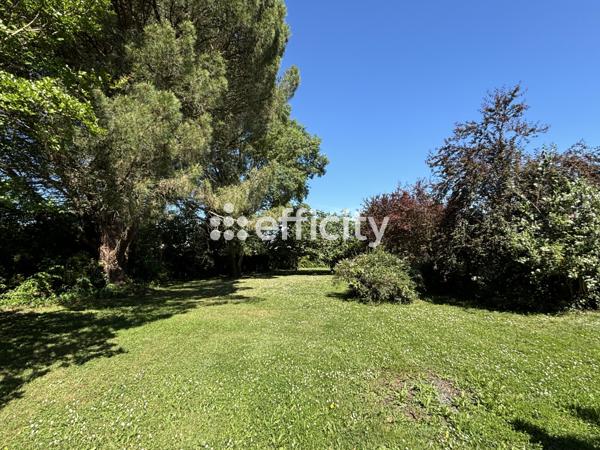 Terrain - 1141 m²