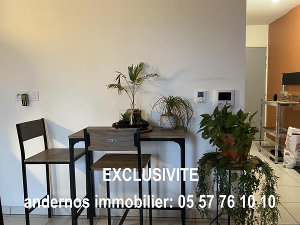 studio centre ville